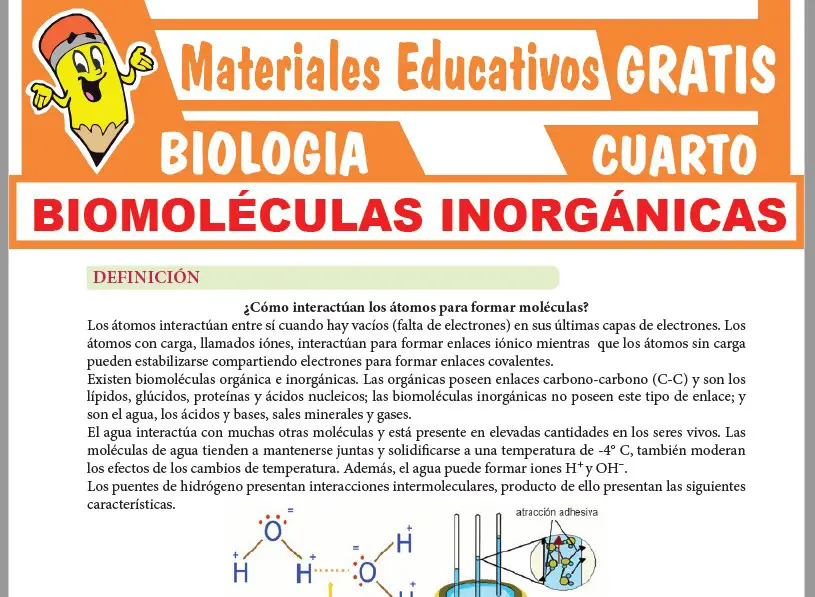 Ficha de Biomoléculas Inorgánicas para Cuarto Grado de Secundaria