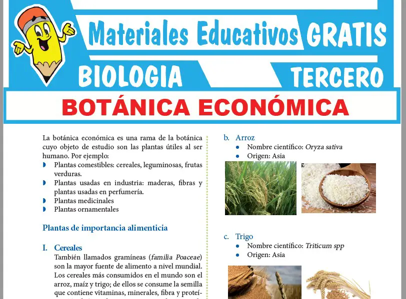 Ficha de Botánica Económica para Tercer Grado de Secundaria