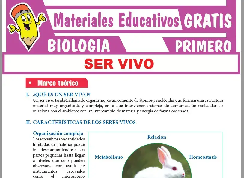 Ficha de Características de los Seres Vivos para Primer Grado de Secundaria