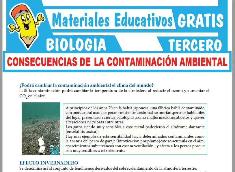 Ficha de Consecuencias de la Contaminación Ambiental para Tercer Grado de Secundaria