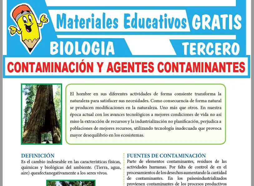 Ficha de Contaminación y Agentes Contaminantes para Tercer Grado de Secundaria