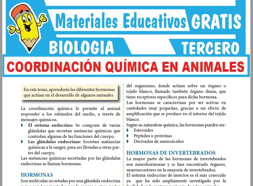 Ficha de Coordinación Química en Animales para Tercer Grado de Secundaria