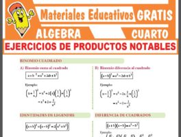 ÁLGEBRA ≫ Cuarto de Secundaria ≫ 28 Fichas GRATIS
