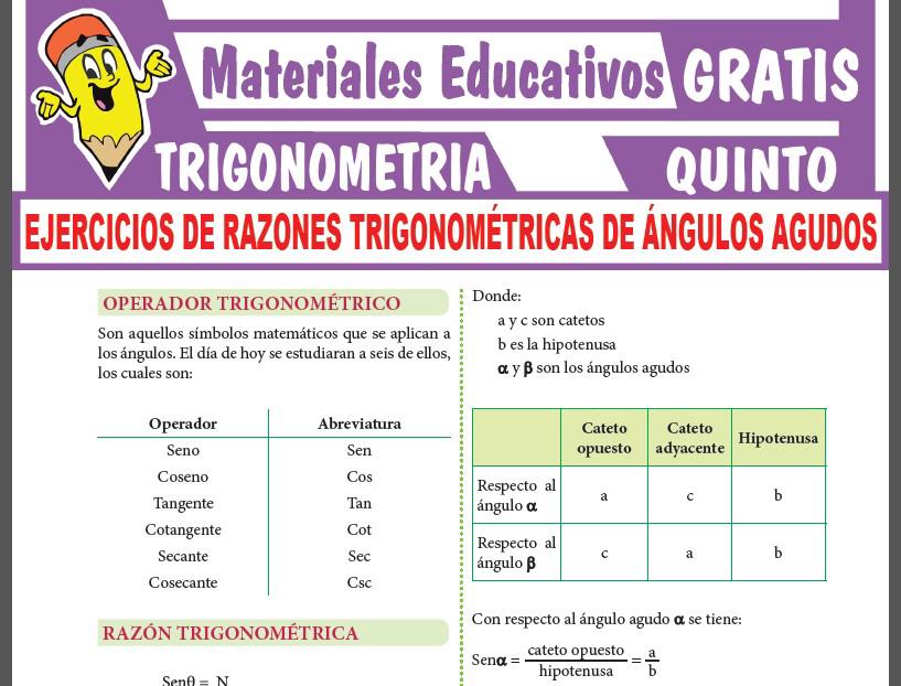 Ejercicios de Razones Trigonométricas de Ángulos Agudos para Quinto Grado de Secundaria