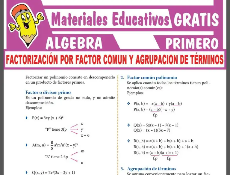 Factorización Por Factor Común Y Agrupación De Términos Para Primer