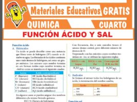 QUÍMICA ≫ Cuarto de Secundaria ≫ 28 Fichas GRATIS