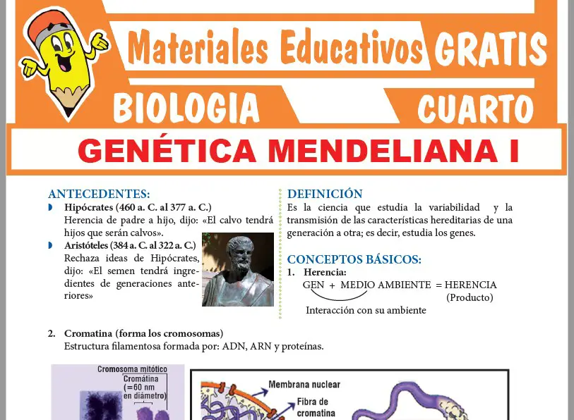 Ficha de Genética Mendeliana para Cuarto Grado de Secundaria