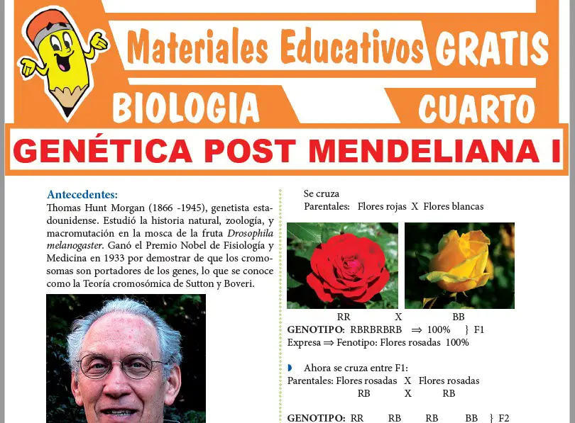 Ficha de Genética Post Mendeliana para Cuarto Grado de Secundaria