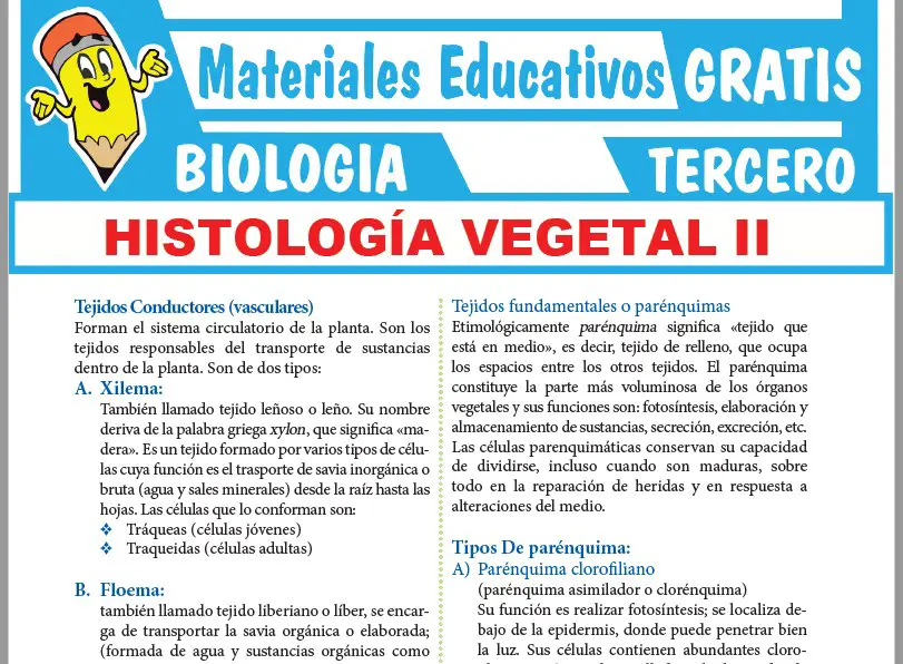 Ficha de Histología Vegetal II para Tercer Grado de Secundaria