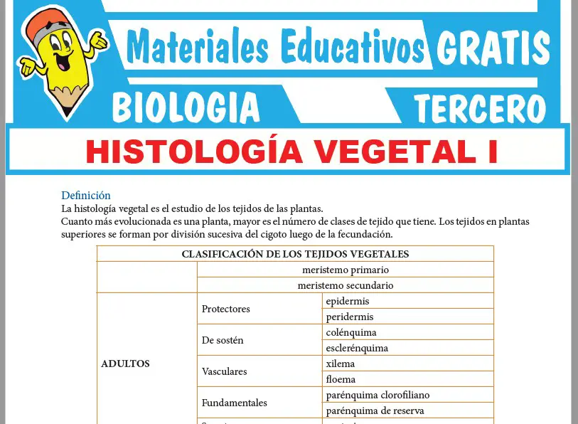 Ficha de Histología Vegetal para Tercer Grado de Secundaria