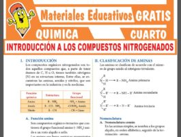 QUÍMICA ≫ Cuarto de Secundaria ≫ 28 Fichas GRATIS