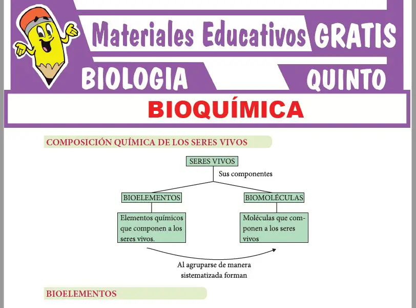 Ficha de La Bioquímica para Quinto Grado de Secundaria