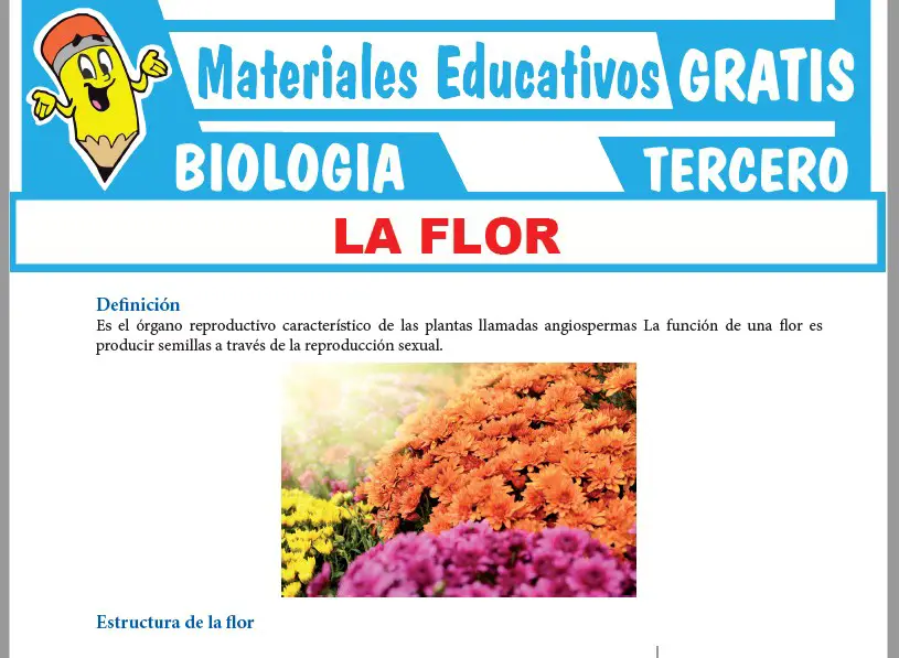 Ficha de La Flor para Tercer Grado de Secundaria