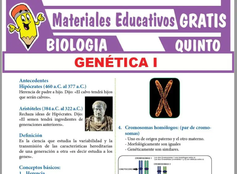 La Genética Para Quinto Grado De Secundaria ≫ GRATIS