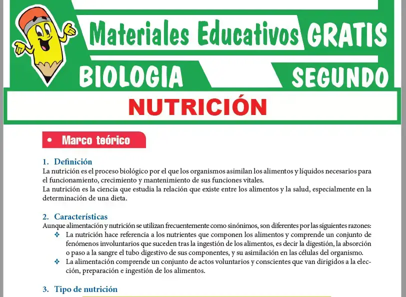 Ficha de La Nutrición para Segundo Grado de Secundaria