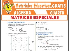 ÁLGEBRA ≫ Cuarto de Secundaria ≫ 28 Fichas GRATIS
