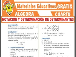ÁLGEBRA ≫ Cuarto de Secundaria ≫ 28 Fichas GRATIS