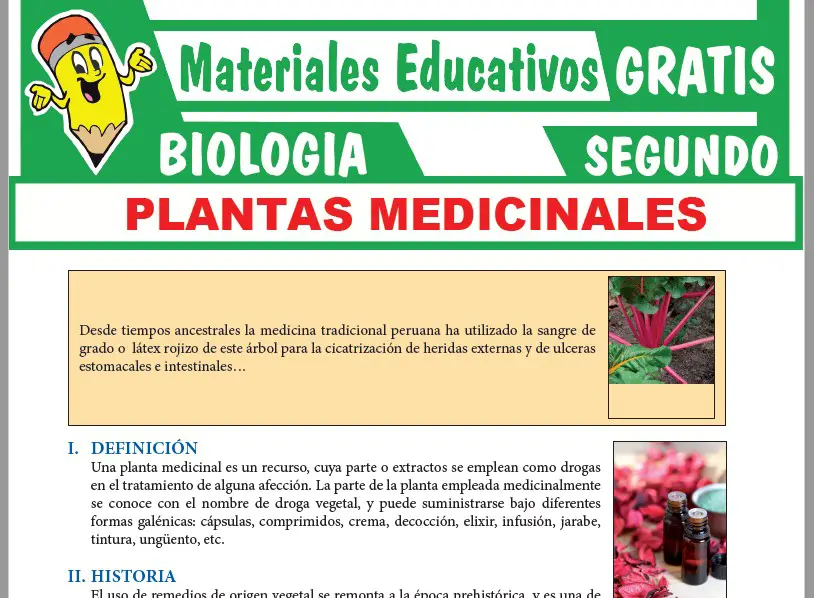 Ficha de Plantas Medicinales para Segundo Grado de Secundaria