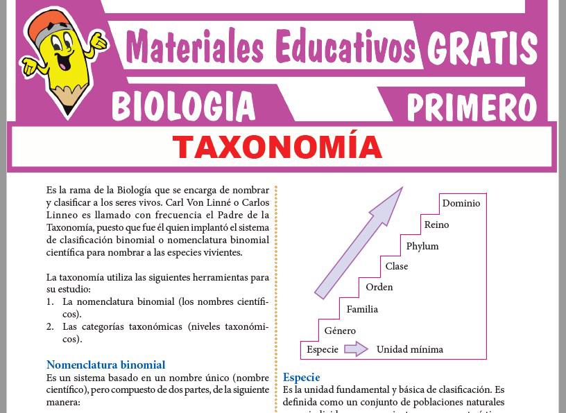 Ficha de ¿Qué Estudia la Taxonomía? para Primer Grado de Secundaria