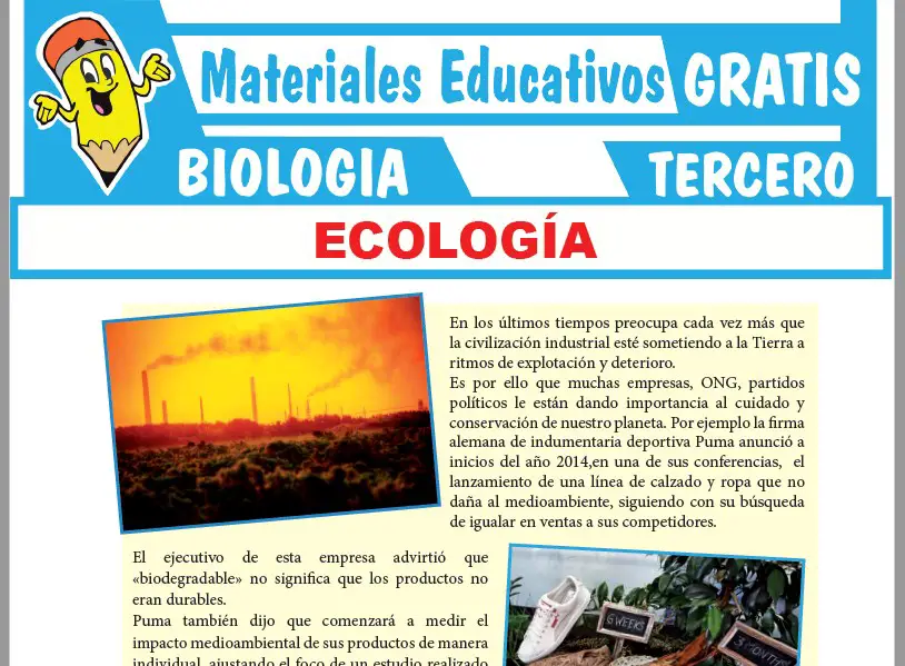 Ficha de ¿Qué Estudia la Ecologia? para Tercer Grado de Secundaria