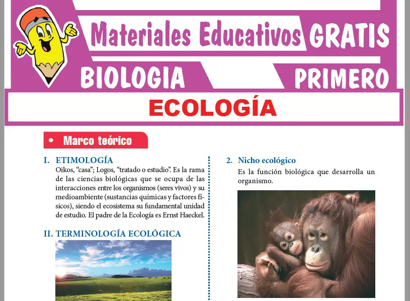 Ficha de ¿Qué Estudia la Ecología? para Primer Grado de Secundaria