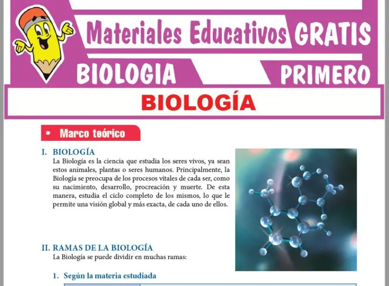 BIOLOGÍA ≫ Primero de Secundaria ≫ 28 Fichas GRATIS
