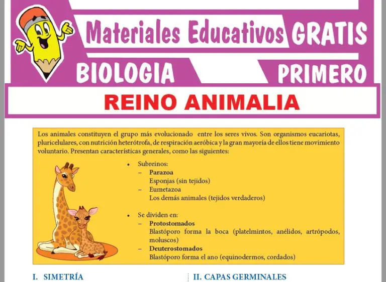 Reino Animalia Para Primer Grado De Secundaria ≫ Materiales GRATIS