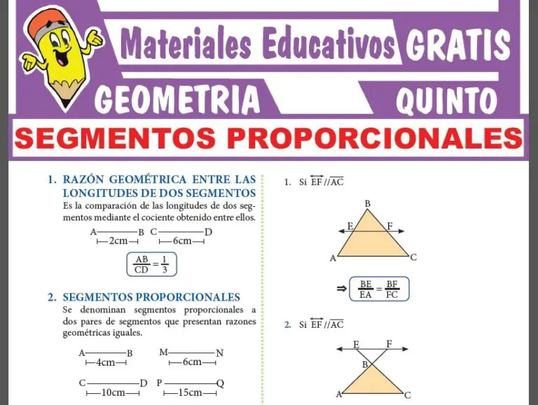 Segmentos Proporcionales Para Quinto Grado De Secundaria