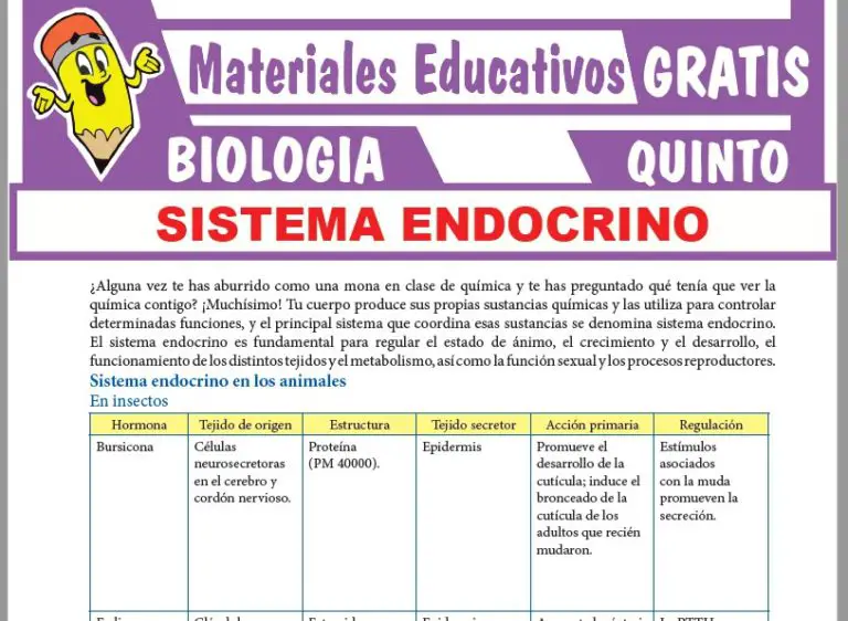 Sistema Endocrino Para Quinto Grado De Secundaria ≫ GRATIS