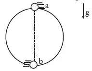 dinamica circunferencial