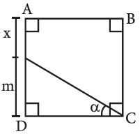 ejercicio de Resolucion de Problemas de Triangulos Rectangulos