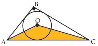 ejercicios de Areas de los triangulos